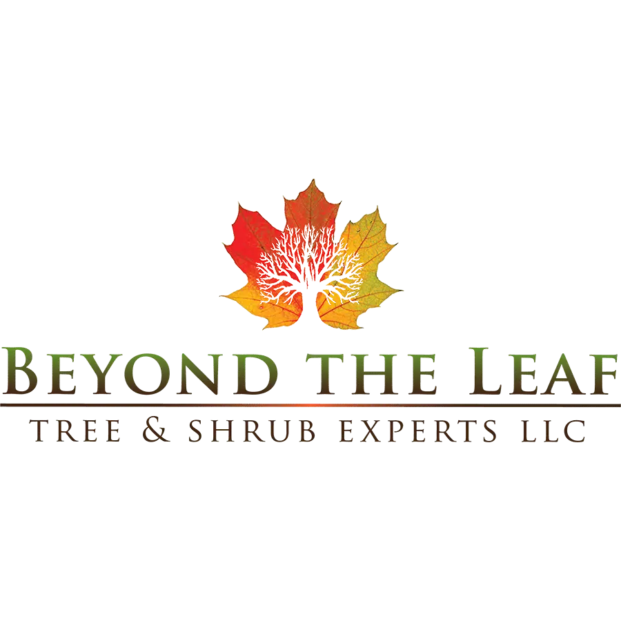 Beyond The Leaf Tree and Shrub Experts LLC