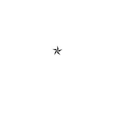 Lonestar Industries