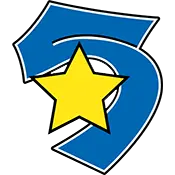 FIVE STAR RAIN GUTTERS INC