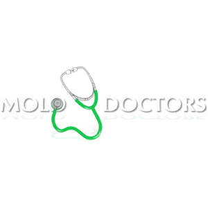 Mold Doctors