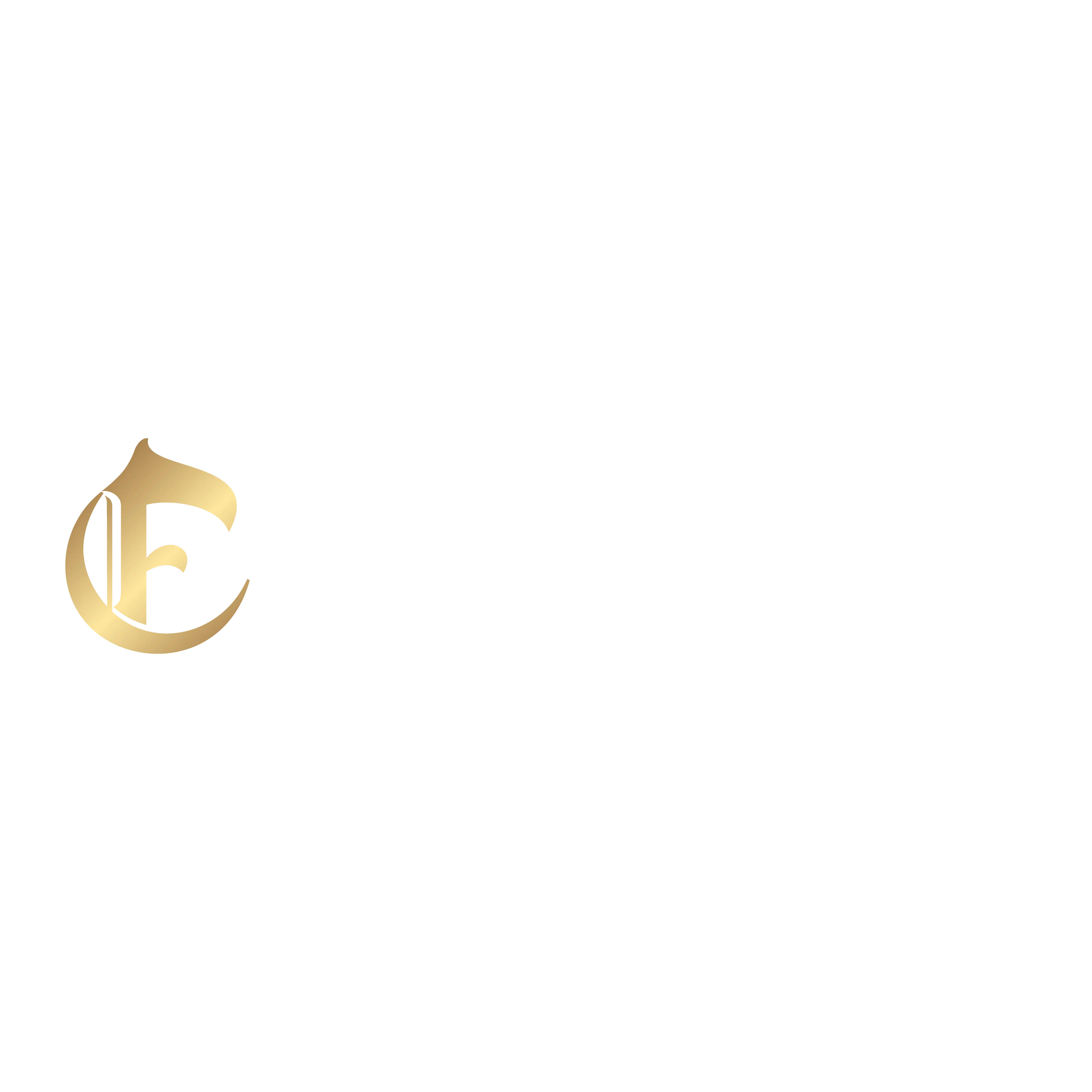 FONZ CONSTRUCTION LLC