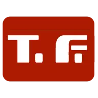 T FYFFE CONSTRUCTION SERVICES INC