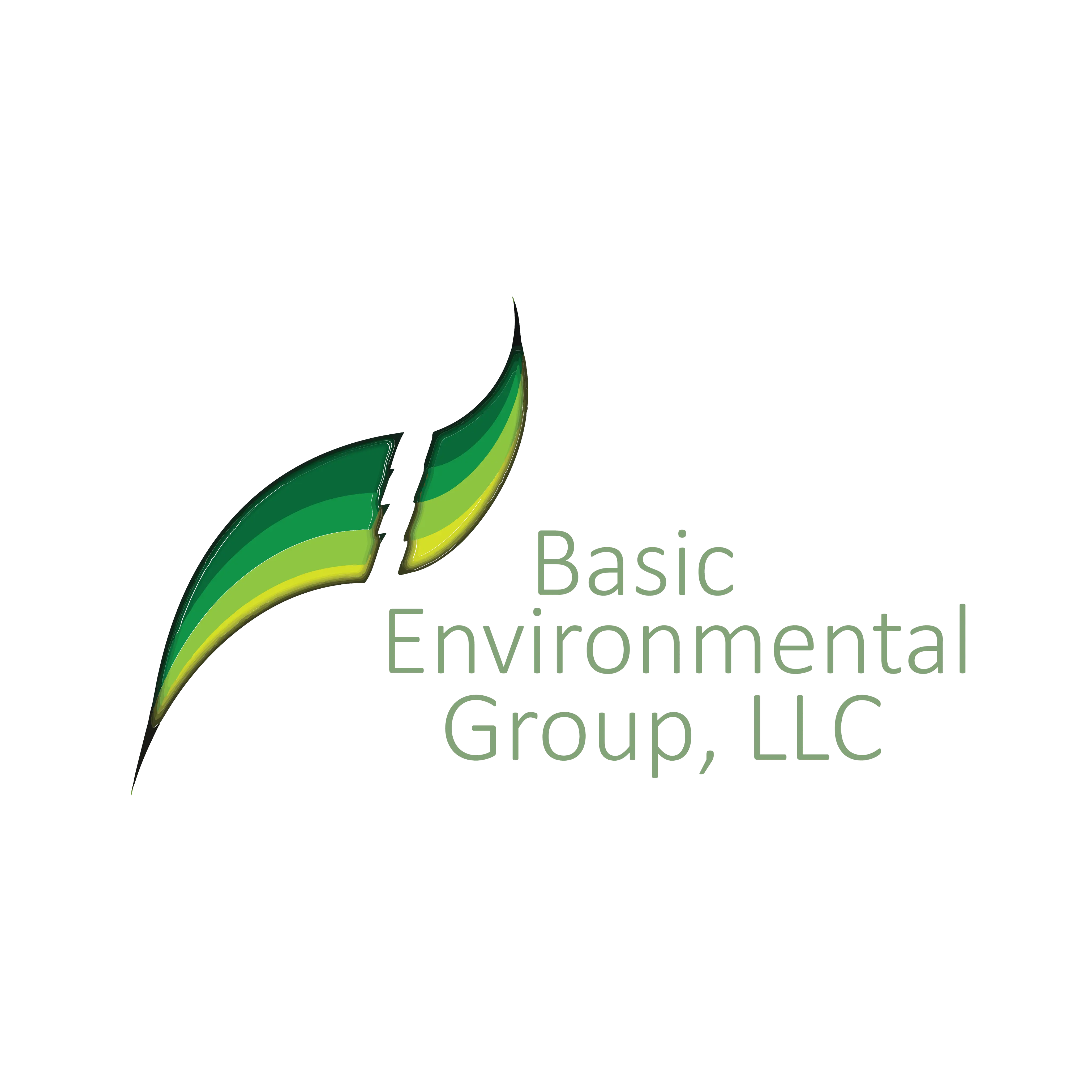 Basic Environmental Group LLC