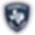 TEXAS VETERAN SECURITY LLC