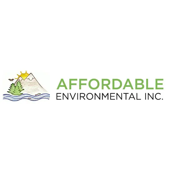 AFFORDABLE ENVIRONMENTAL INC