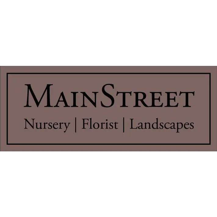 Main Street Nursery