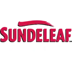 SUNDELEAF PAINTING INC