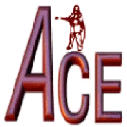 ACE SANDBLASTING CORP