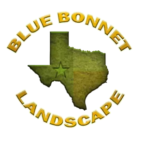 Blue Bonnet Landscape