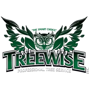 TREEWISE LLC