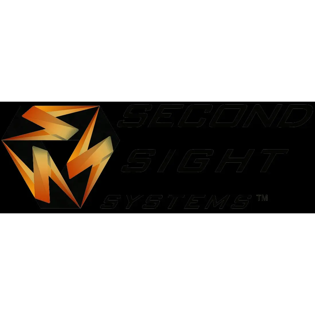 Second Sight Systems, LLC