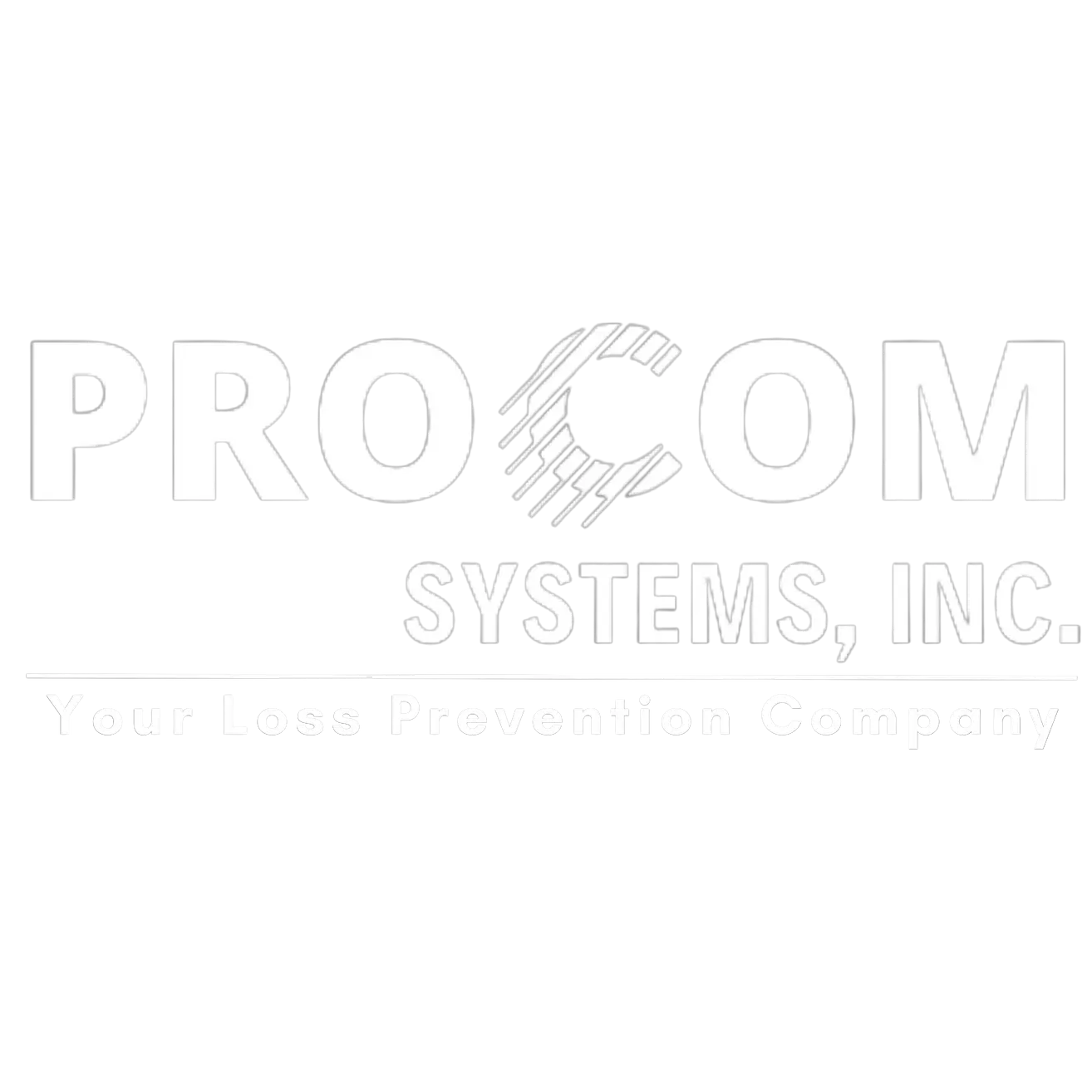 PROCOM SYSTEMS INC