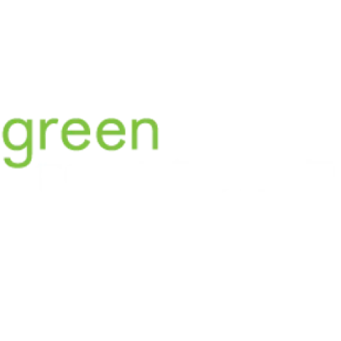 GREEN CONCEPTION INC