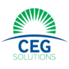 C E G SOLUTIONS LLC