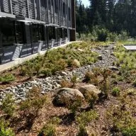 SPECIALIZED LANDSCAPING INC