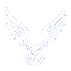 Blue Eagle General Contractors