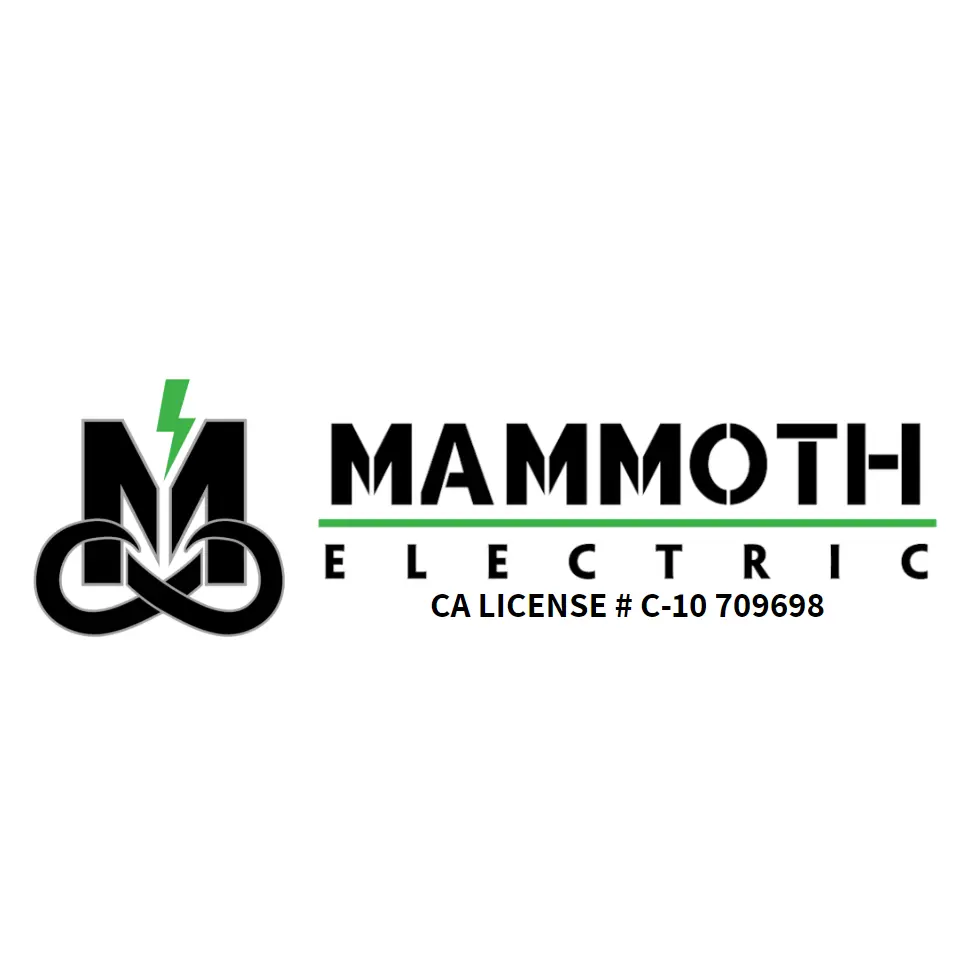 MAMMOTH ELECTRIC INC