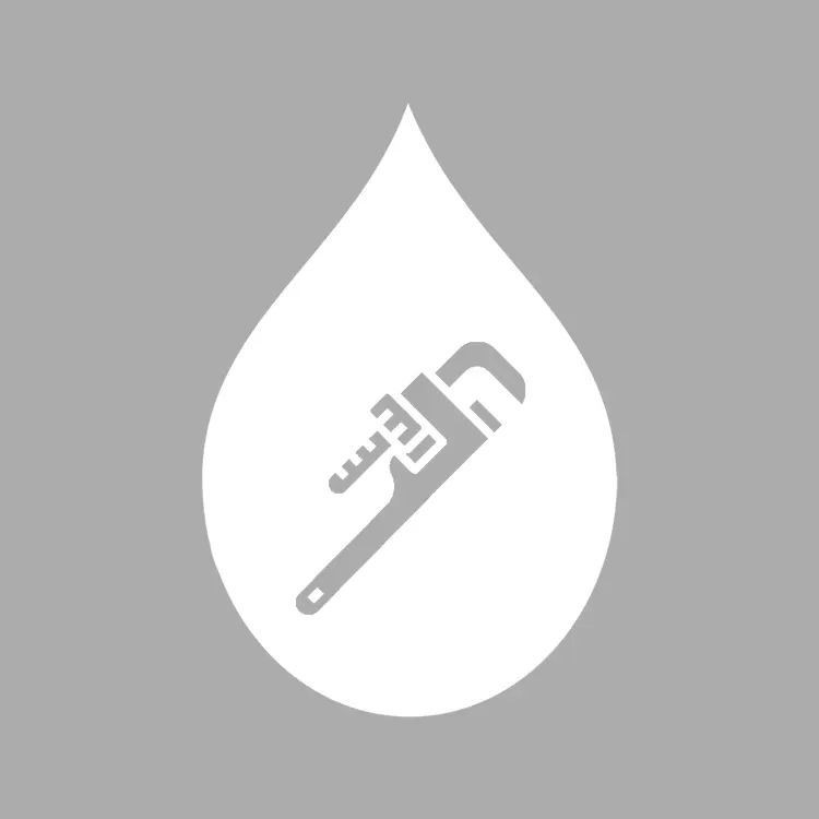 SPOTLESS PLUMBERS LLC
