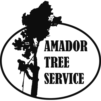 Amador Tree Service