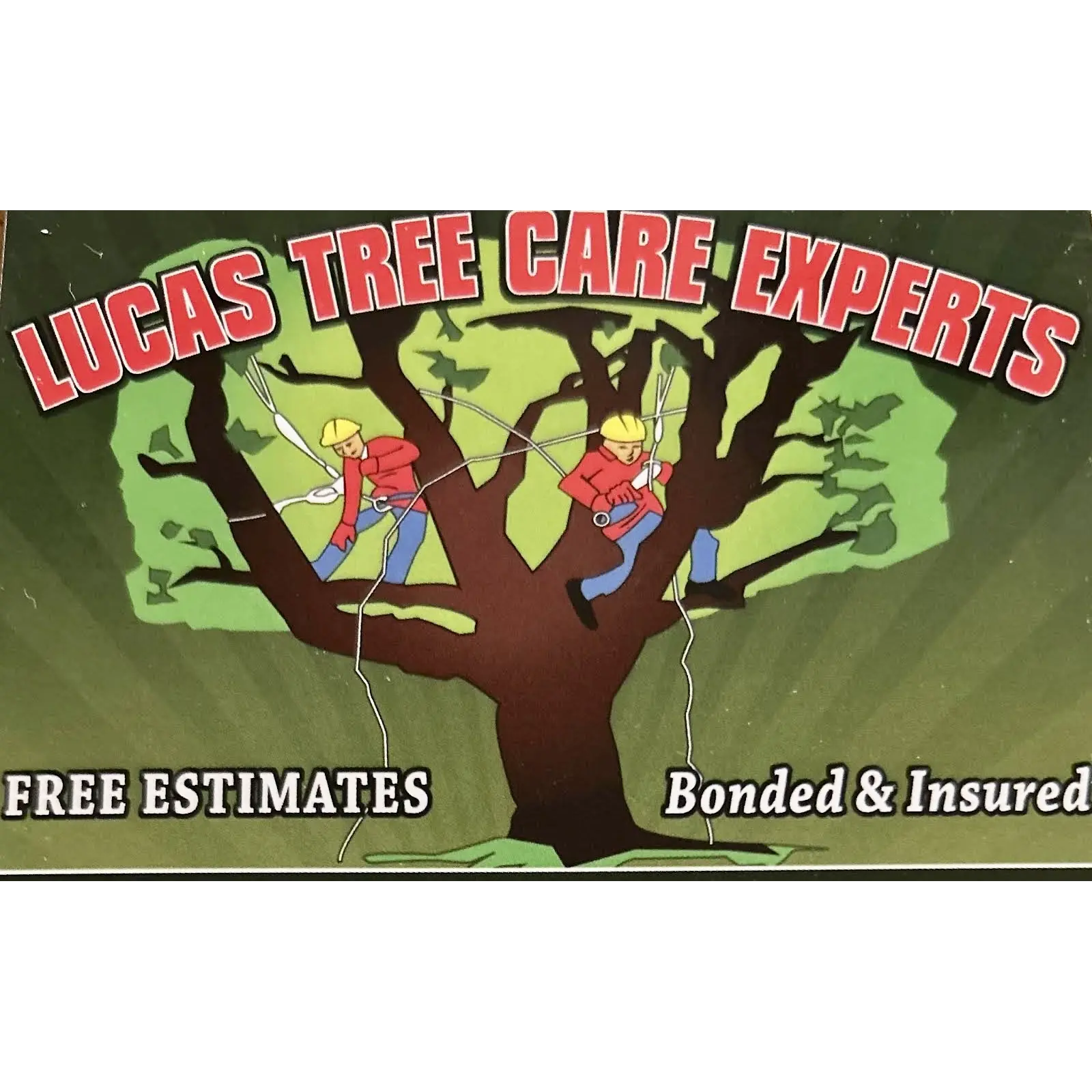 Lucas Tree Care Experts