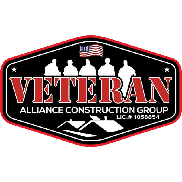 VETERAN ALLIANCE CONSTRUCTION GROUP INC