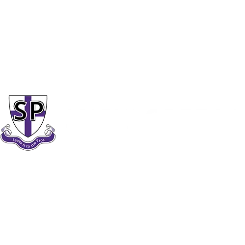 SURFACE PROS LLC