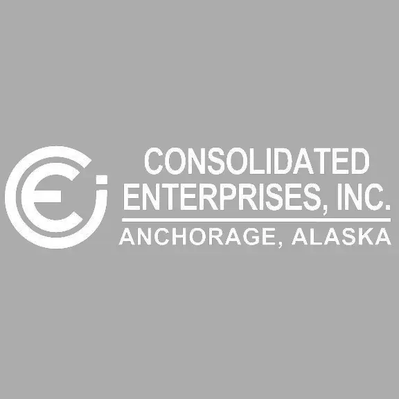 Consolidated Enterprises Inc.