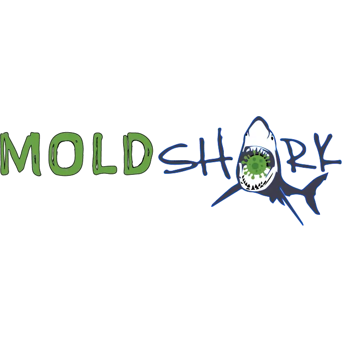 Mold Shark