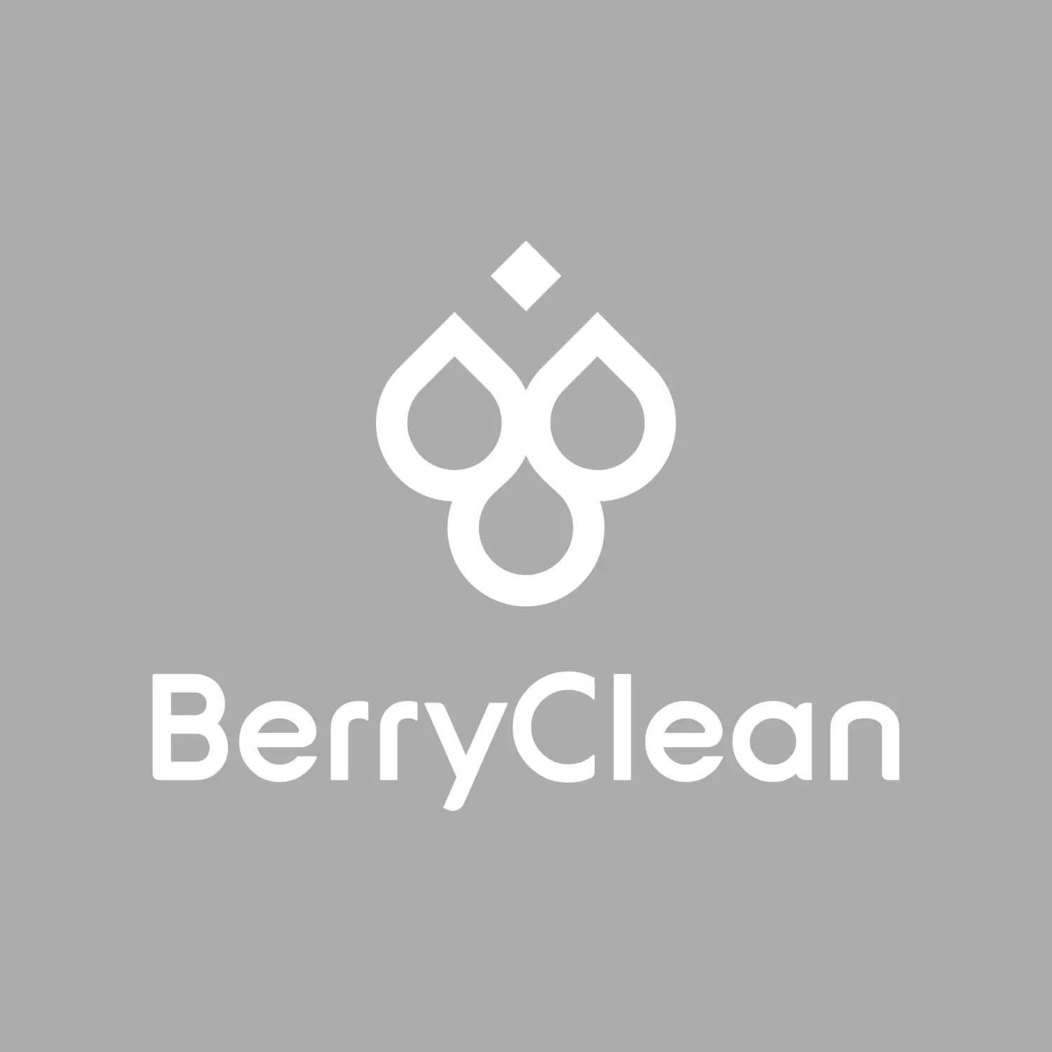 BerryClean