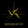RESIN FLOW CO