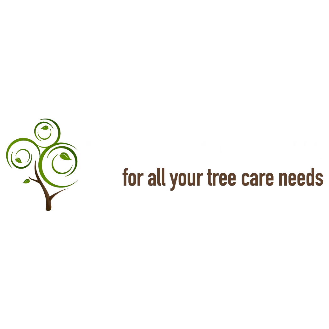 Phoenix Trim a Tree