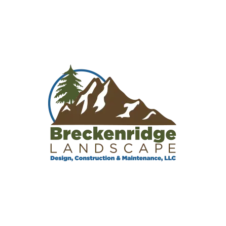 Breckenridge Landscape