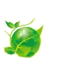 Green Guardian Organic Pest Control LLC