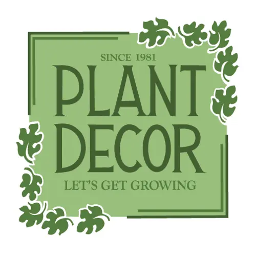 PLANT DECOR