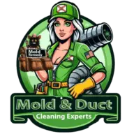 Mold & Duct Cleaning Experts