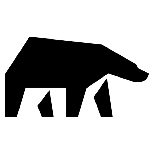 BLACK BEAR ROOFING AND EXTERIORS