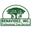 BENAVIDEZ INC
