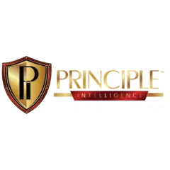 Principle Intelligence