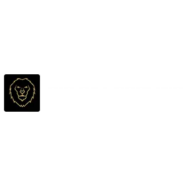 BIG CAT ROOFING LLC
