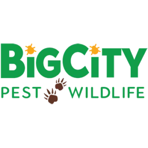 Big City Pest & Wildlife