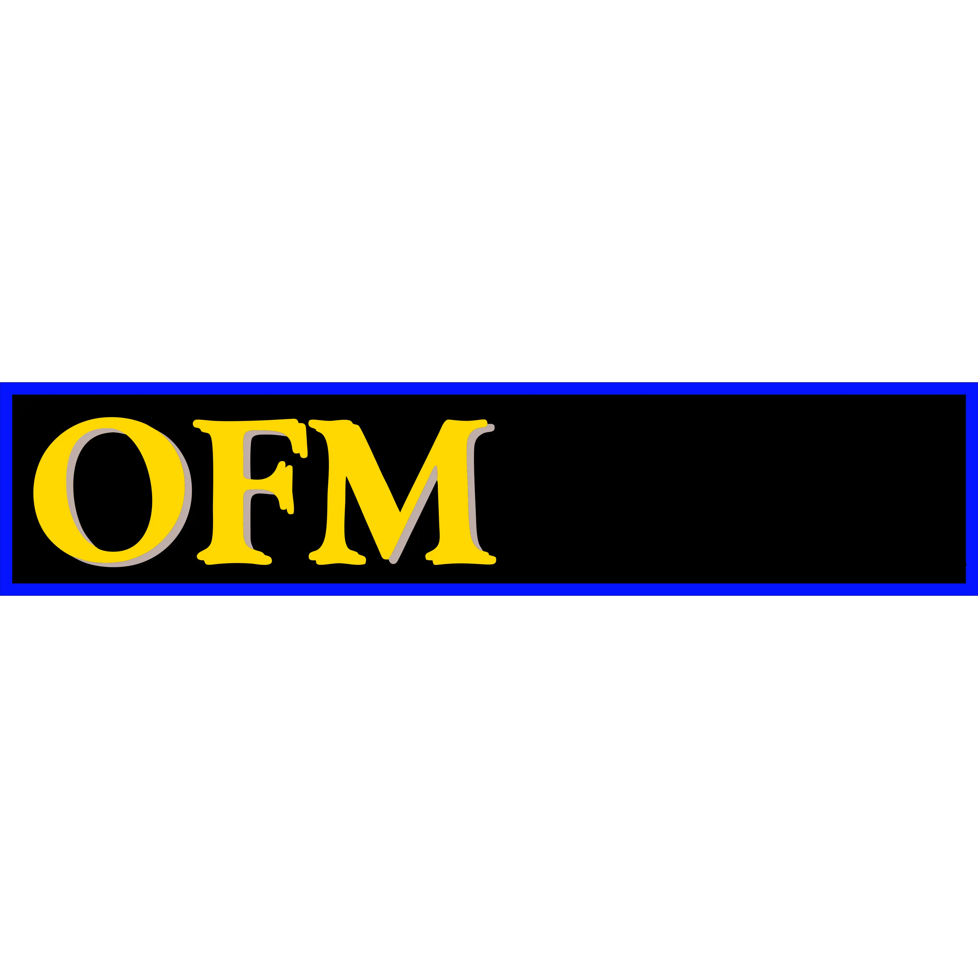 OFM BUILDERS & CONSULTANTS INC