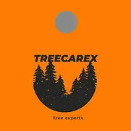 TREECAREX LLC