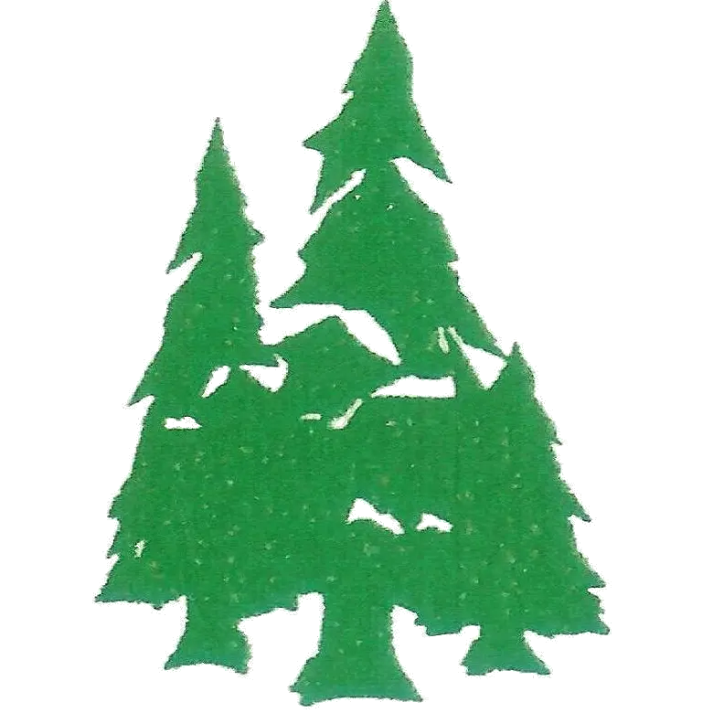 Evergreen Electric & HVAC Inc