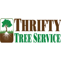THRIFTY TREE SERVICE INC