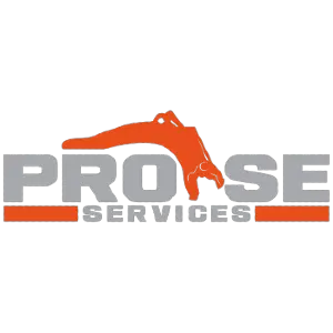 PRO - SE SERVICES INC