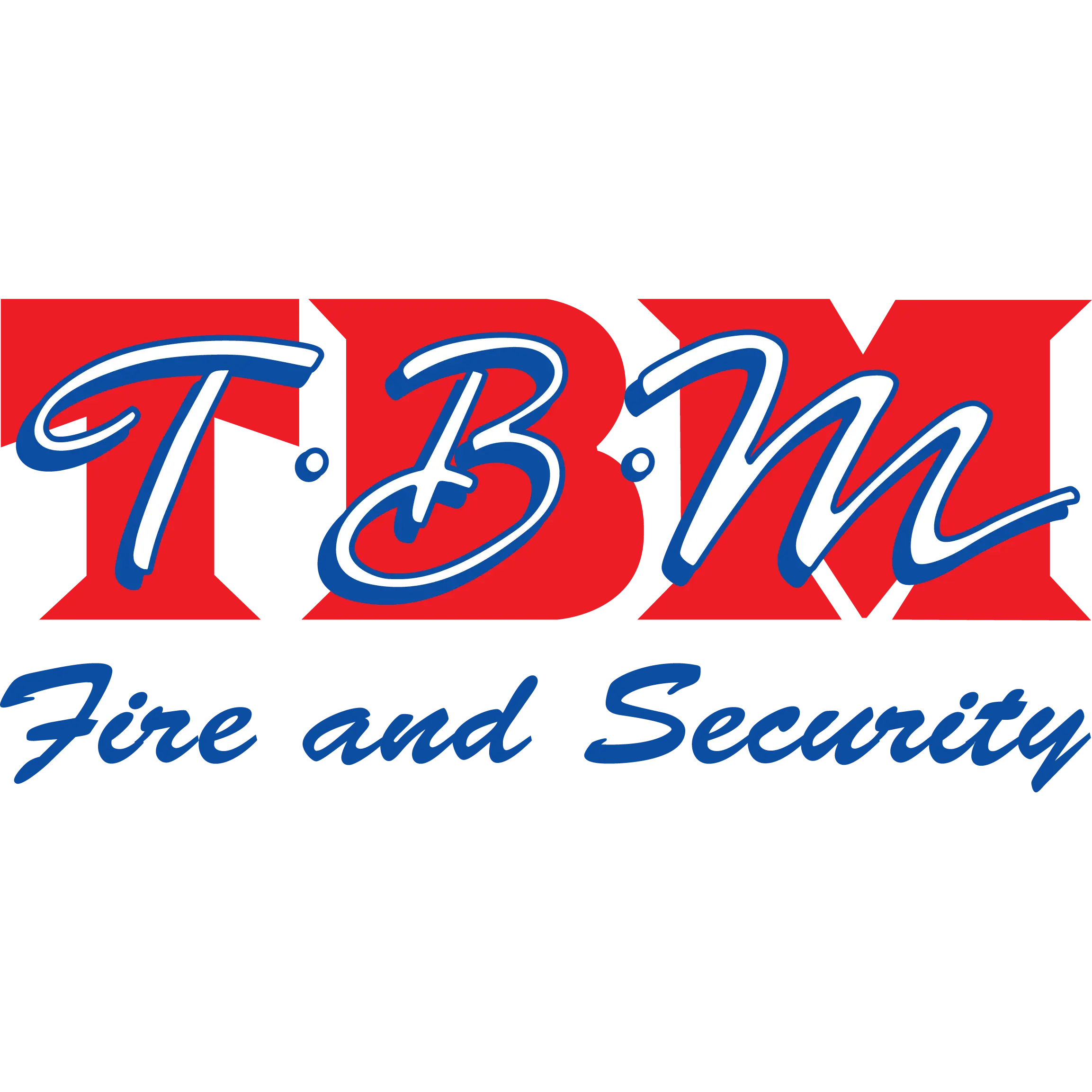 TBM SERVICES INC