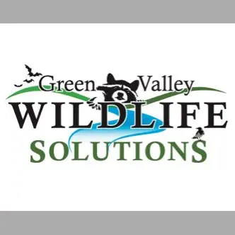 Green Valley Wildlife Solutions