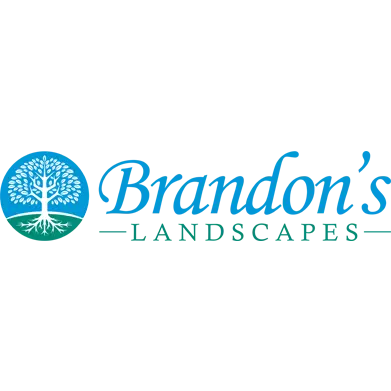 BRANDON'S LANDSCAPES INC