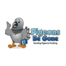 Pigeons Be Gone