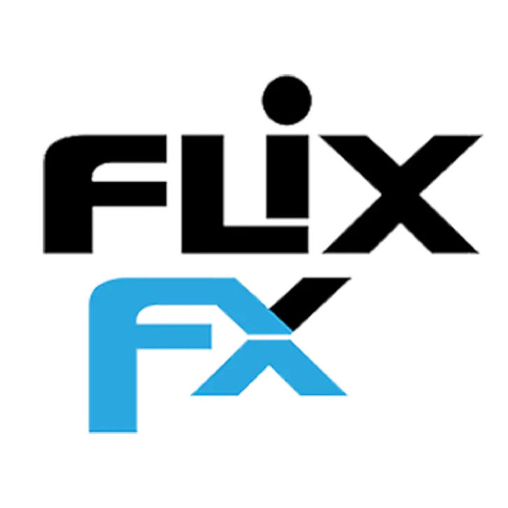 FLIX FX INC